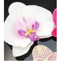 Orchidėjos-segtukai į plaukus (įvairių spalvų)